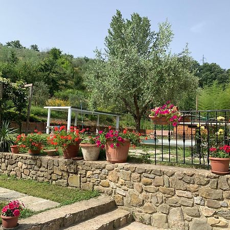 Guest House Torre Guelfa, Vinsantaia Figline Valdarno Luaran gambar